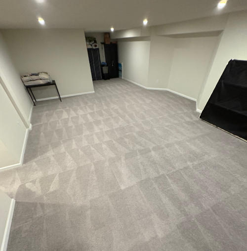 Basement carpet after extraction cleaning