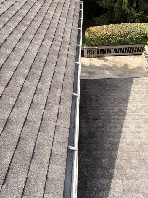 Clean gutters and downspouts after professional service